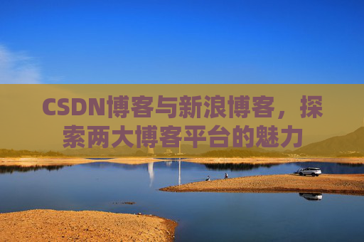 CSDN博客与新浪博客，探索两大博客平台的魅力